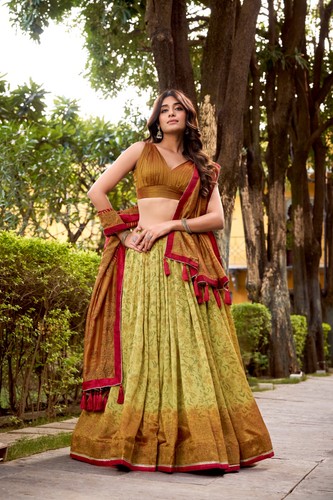 Braut lehenga choli hochzeit - braut,