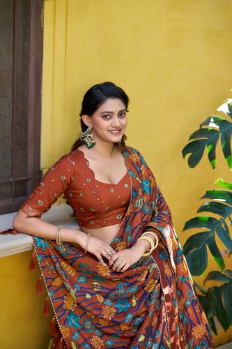 Hochzeits lehenga choli - choli, eid